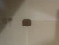 米家S800体脂秤：精准数据助力减脂