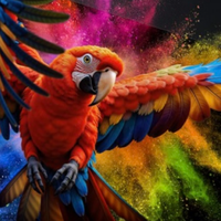 电视品牌 篇零：85寸电视推荐：五款旗舰谁更值得入手？