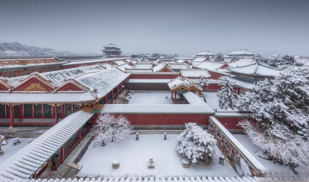 故宫一下雪就刷屏,这份穿越时空的赏雪攻略请收好