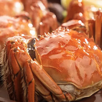 吃8只死蟹后，乔老爷发烧呕吐腹泻、入院治疗