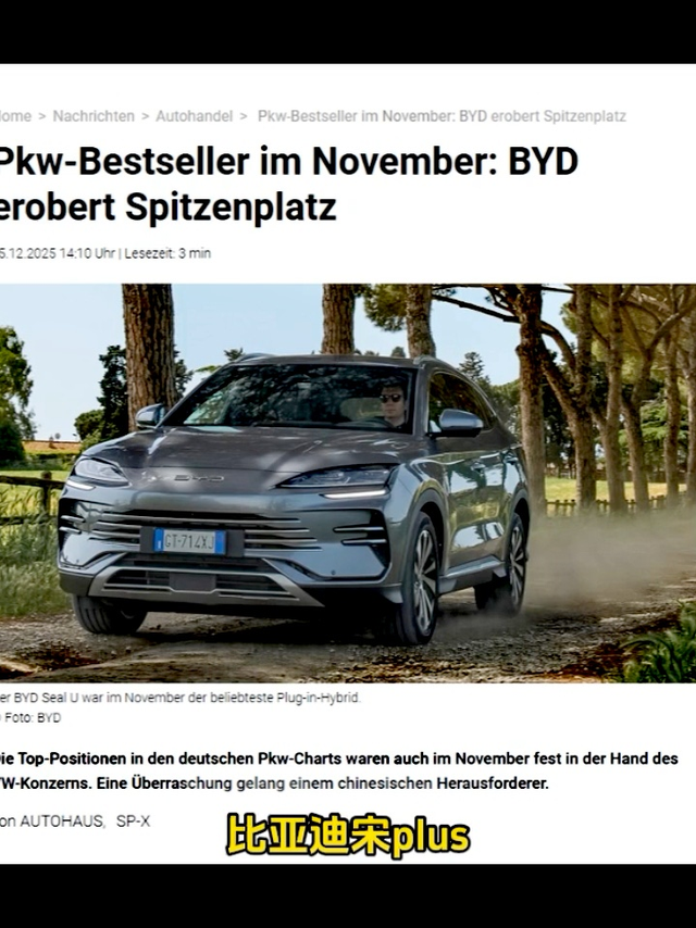 2025年比亚迪海外成绩单