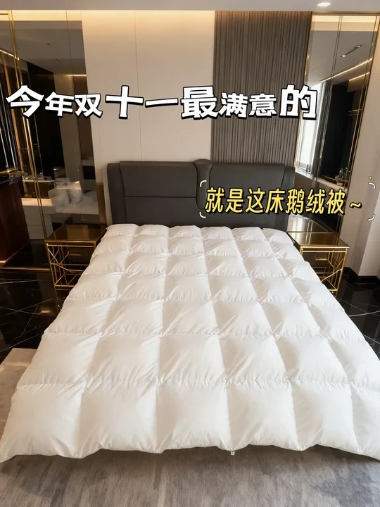 双十一最满意的就是sidanda这床鹅绒被了～