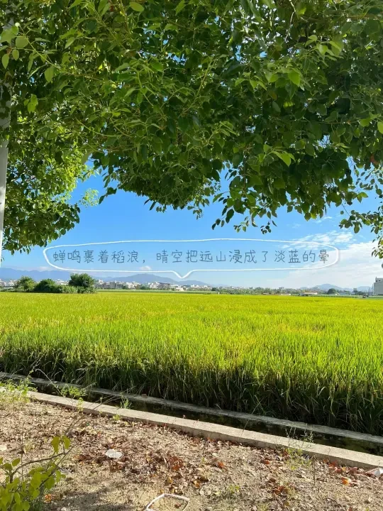 日子的温柔，藏在顺手的小物里