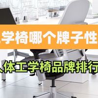 人体工学椅哪个牌子性价比高 2026年人体工学椅品牌排行榜前十名