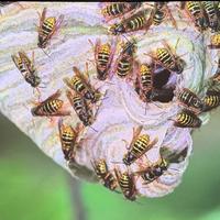 双十二投影仪怎么选？这四款机型，买到就是赚到！