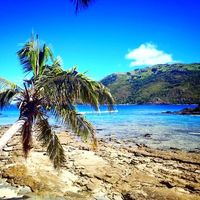 落地免签一线连，2025年最值得打卡的5个国家！