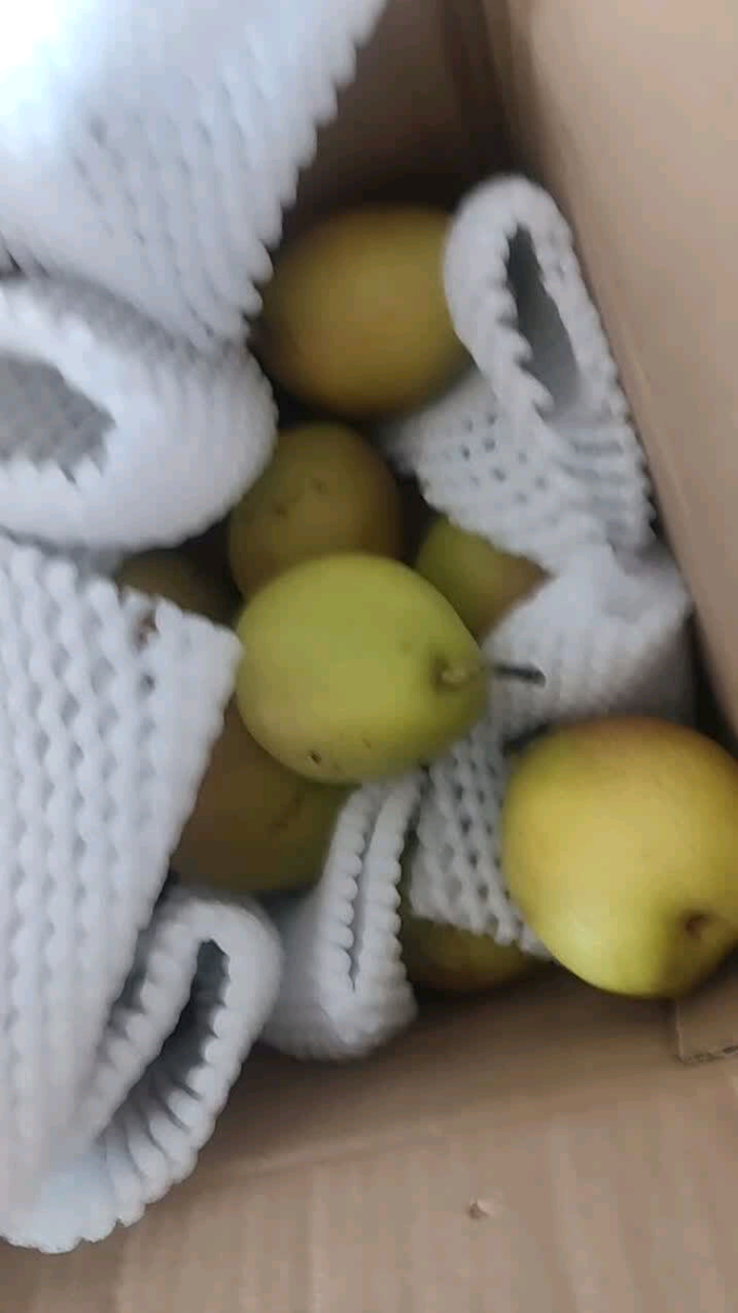 新鲜水果