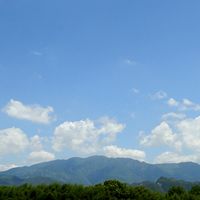 洗发水哪款值得入？9款洗发水产品推荐，温和清洁呵护发根