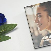 雷登T9开放式蓝牙耳机：专业调校，呈现高保真卓越好音质。