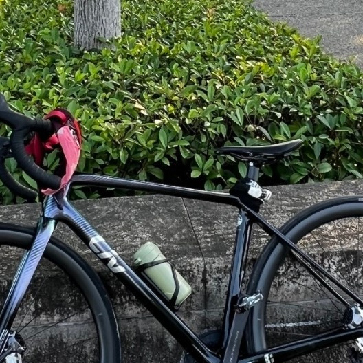 骑行一个月，找回健康与自信