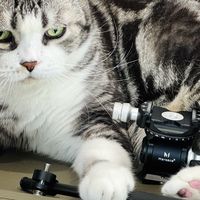 葱头的器材日记 篇零：给球形云台加个“视频模式”：马小路MV-10P