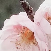 平淡日子中的温暖与怅惘