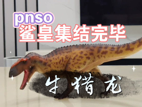 压轴大作，最后一丝燃尽，pnso牛猎龙