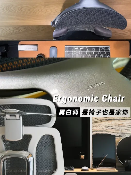 健康“腰”精守护💺从一把椅子的陪伴开始
