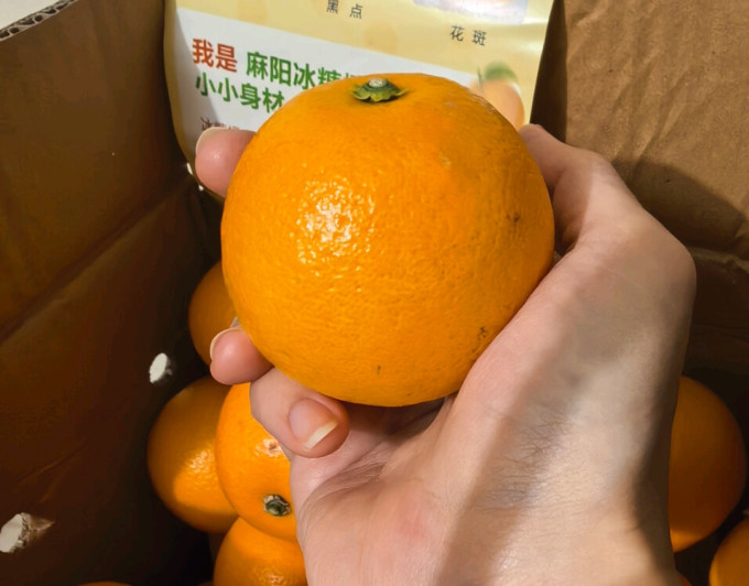 京鲜生橙子