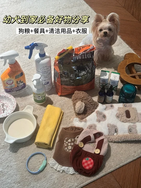 新手养狗🧺幼犬到家必备好物分享