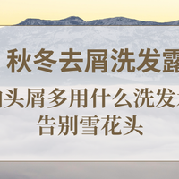 2025 秋冬去屑洗发露推荐头油头屑多用什么洗发水？告别雪花头