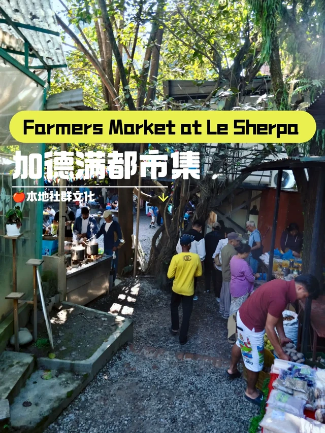 🍅我在加都逛市集
