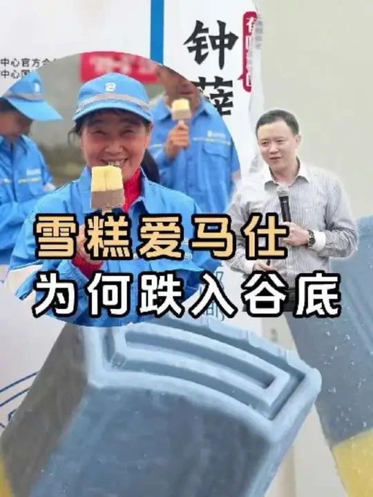 雪糕爱马仕为何突然跌入谷底？#钟薛高创始人回应雪糕烧不化 #钟薛高 #雪糕
