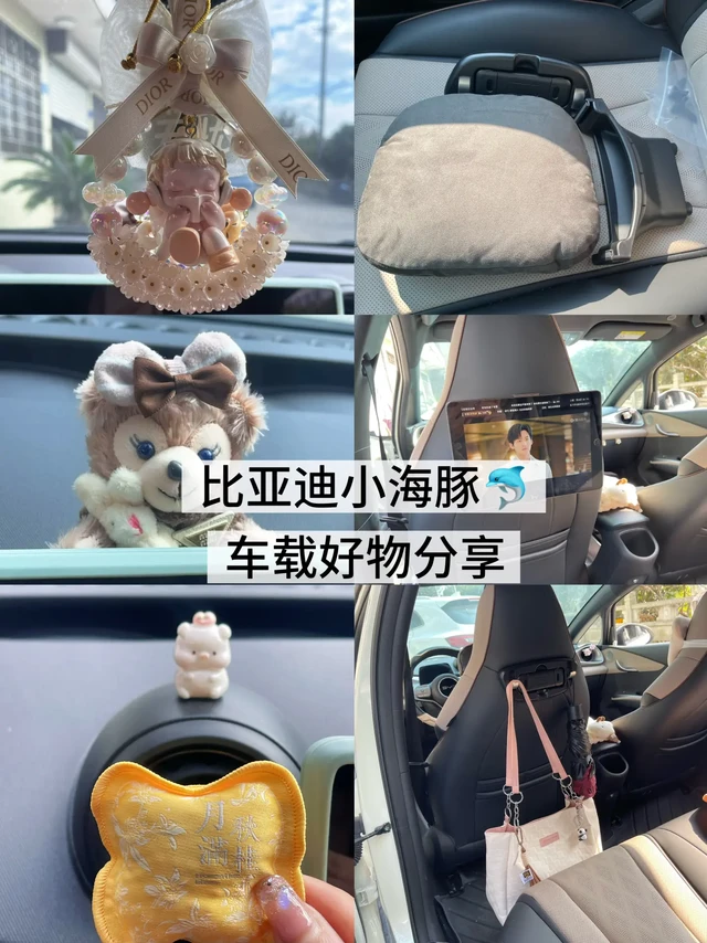 比亚迪海豚车载好物分享-移动治愈空间🌟