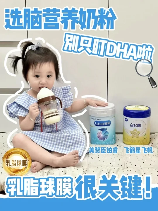 选脑营养奶粉别只盯DHA啦,乳脂球膜很关键!