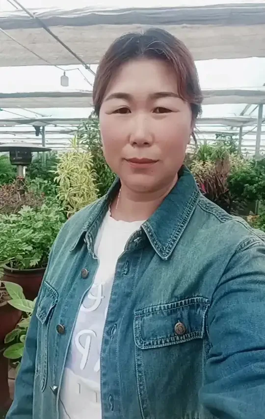 家里添了抹绿，生活多了一份诗意，与绿植相伴的日子，每一天都会充满希望与活力#时尚绿植#花卉基地