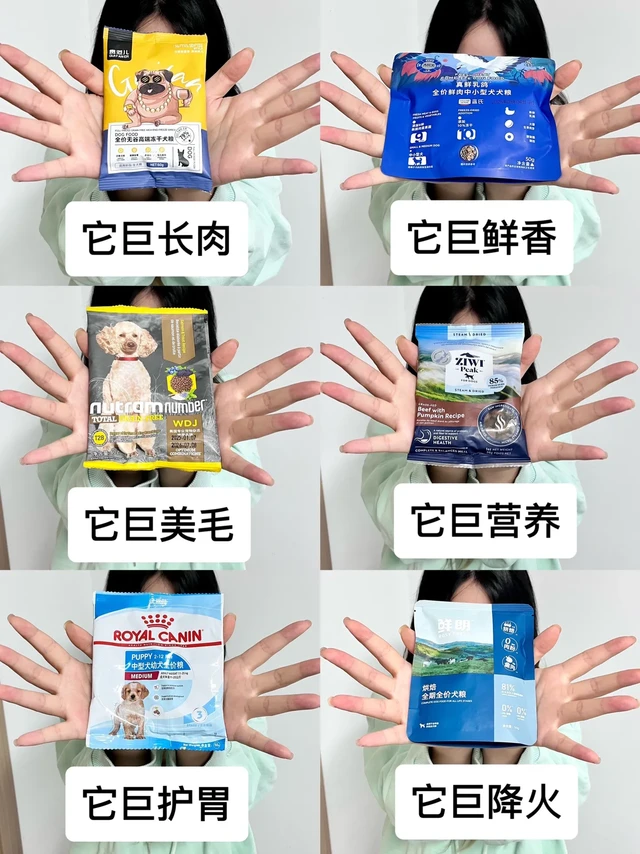 喂了这么多狗粮，来分享一下喂食感受吧。狗粮好评榜第一名/贵范儿狗粮/蓝氏狗粮/鲜朗狗粮/百利狗粮/诚实一口狗粮/养狗经验/热门狗粮/狗粮测评/双十二热门狗粮/新手养狗/双十二攻略/长肉狗狗/养狗人/新