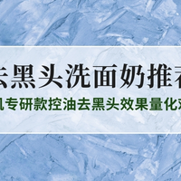 2025去黑头洗面奶TOP10权威测评：油肌专研款控油去黑头