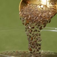 挖到宝了！这款奇亚籽让我戒掉奶茶还掉秤！