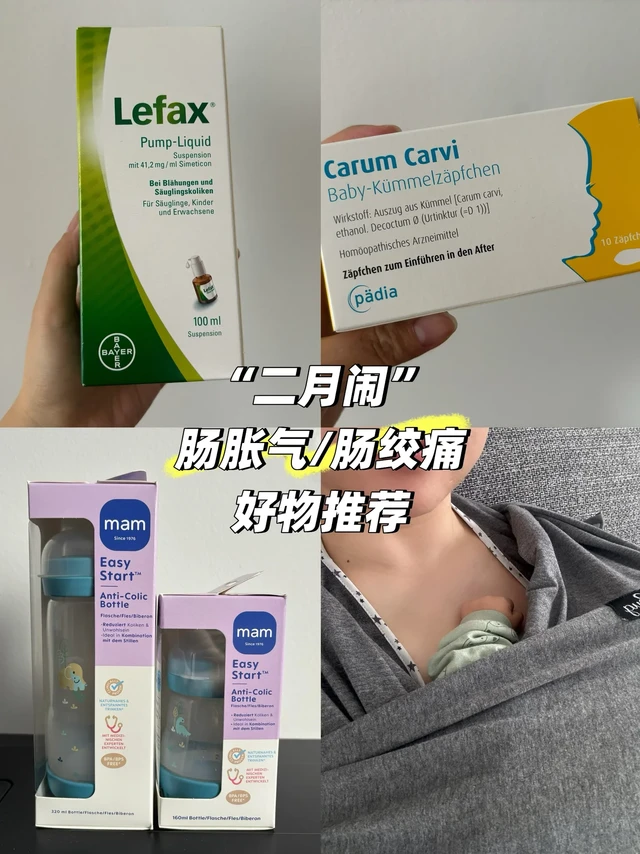 🇩🇪“二月闹”安全下车｜肠胀气好物推荐