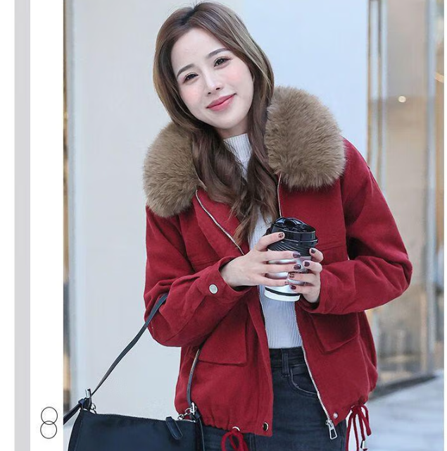 皮尔卡丹2025冬季女式派克棉服，时尚短款百搭