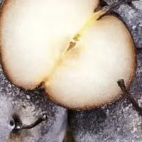 雪地美食地图:黑河冻梨,冰封千年的酸甜滋味