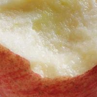 双12购物狂欢，那些值得回购的宝物，陕西洛川红富士苹果脆甜多汁