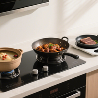 电磁炉哪个牌子好？十大公认热销品牌排行榜实测推荐，烹饪必看