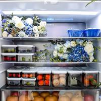 家用电器 篇零：科技守护舌尖新鲜，海信璀璨真空冰箱巡展登陆长春