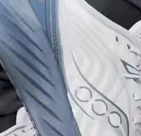 索康尼胜利22，大体重＋初跑者福音！