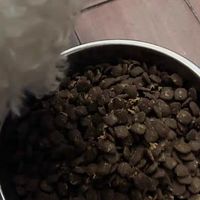 纯福小型犬粮鸭肉梨配方通用型犬粮