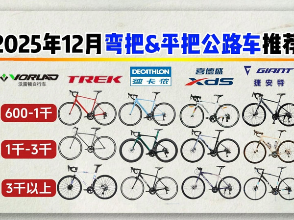 2025年12月弯把&平把公路车选购指南：新手入门公路车怎么选？平把和弯把哪个好？有哪些性价比高的公路车值得推荐？迪卡侬、喜德盛、崔克等热门品牌型号推荐