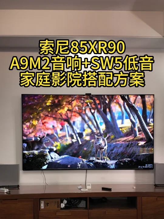 索尼9系电视+A9M2+SW5家庭影院搭配方案