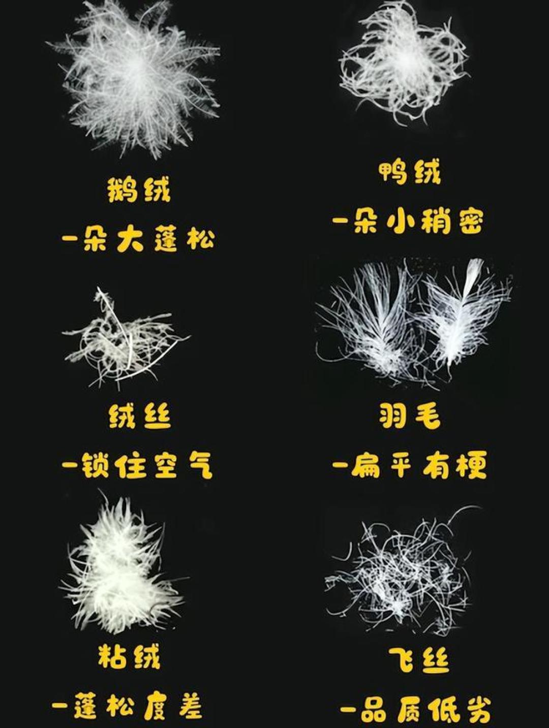 2000元成羽绒服新门槛:成本飙升与消费升级,谁是背后推手?
