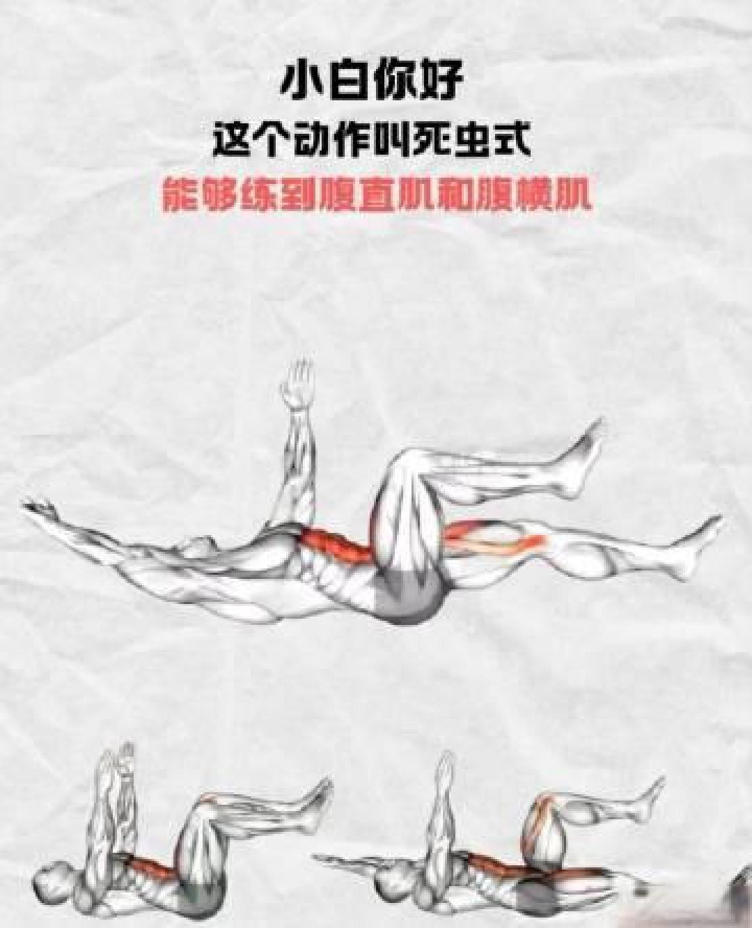 别只羡慕易梦玲马甲线，这份保姆级“吃练”攻略请收好