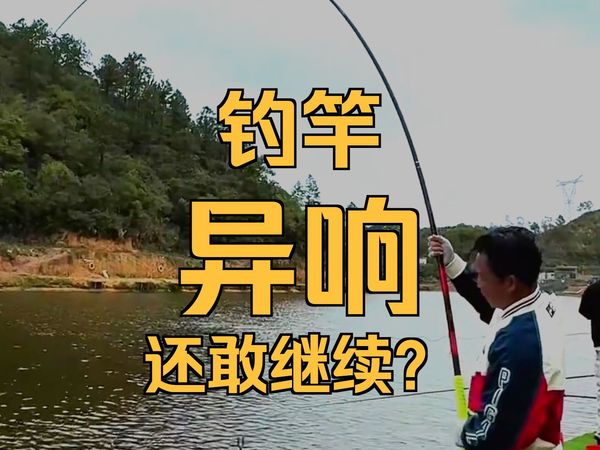 飞鲨三代鱼竿实战钓鱼，硬拔60+青鱼 #原来钓鱼才是抖音运动顶流 #2025dou来钓鱼 .....