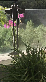 出去玩，家里的花花草草怎么办