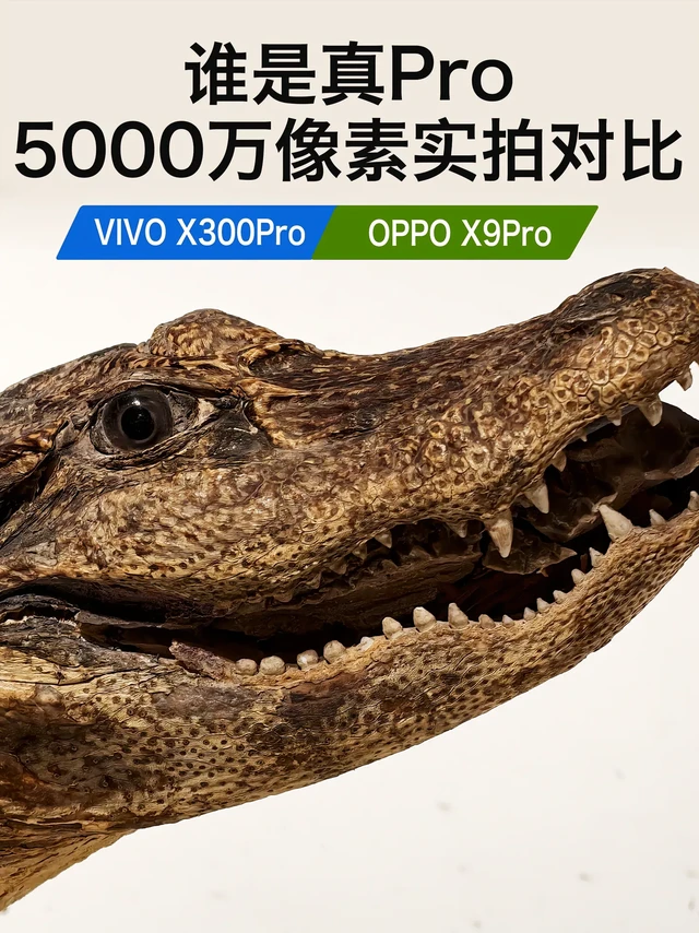 5000万像素实拍对比。VIVO X300Pro和OPPO X9Pro谁的解析力更胜一筹?除了分辨率,还有算法、AI的介入。大家可下载样图,下期对比2亿像素。#vivox300pro #oppofin
