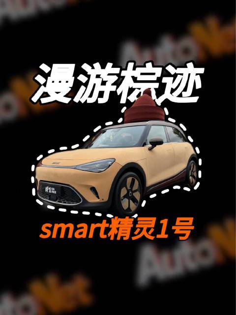 秋冬限定？漫游棕迹smart精灵1号来了！#smart精灵1号##smart# 腚腚的夏天的微博视频