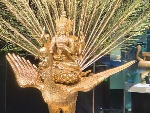 【乐游】顶流大馆，都来上海了→