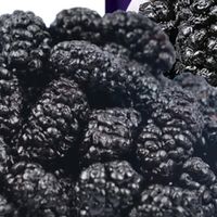 新疆古力巴戈桑葚干：天然美味