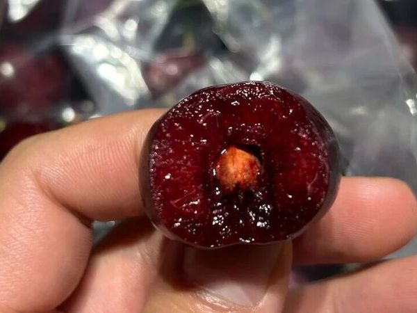 2025年12月13日广州江南水果批发市场精品水果行情参考