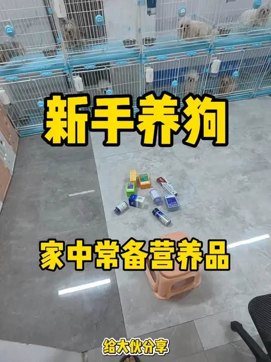 新手养狗家中常备营养品#新手养狗 #养狗经验分享 #狗