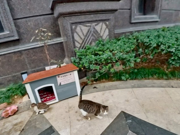 新运动相机体验分享